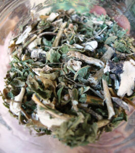 Guinea Hen Weed: The New Way to Fight Against Cancer?